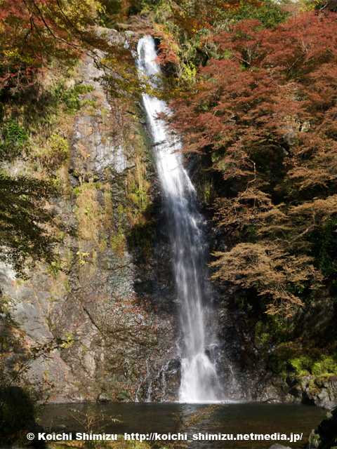 _B254841.jpg
